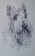 Scottish Terrier Dog Breed Art Print #32 Kline will add dogs name free. GIFT