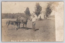 Young Man Foal Mother Horse Mare Feeding "Meals at All Hours" RPPC Photo 1910s