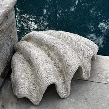 Giant Clam Shell
