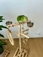 Papageien Freisitz 1.20m Birkenholz inkl Futterschüsseln und Papageienspielzeug