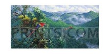 Michael Sieve Panama Red - Macaws