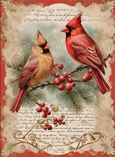 Pair of Christmas Cardinals | A4 Rice Paper | Paper for Decoupage