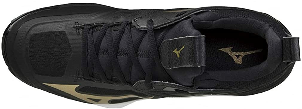 MIZUNO Volleyball Shoes WAVE MOMENTUM 2 LOW V1GA2112 Black