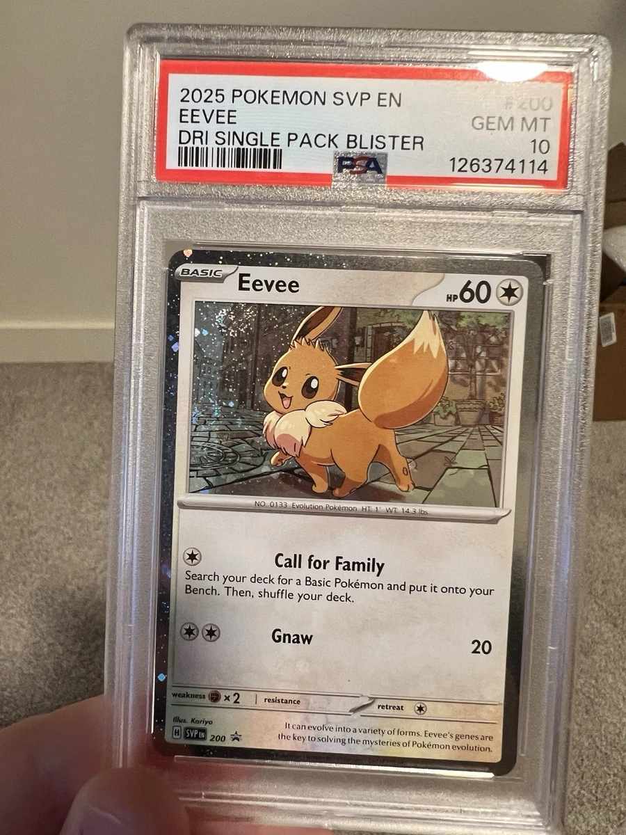 Pokémon TCG Grade 10 Eevee Individual Collectible Card Game Cards