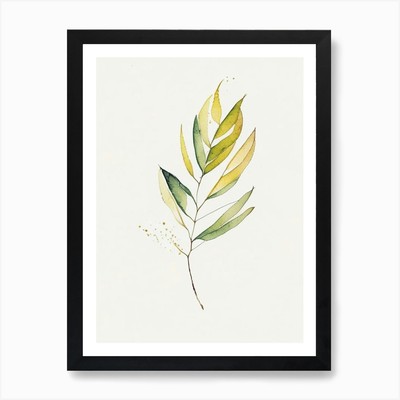 Curryblatt minimalistisches Aquarell 2 gerahmte Wandbilder Poster Leinwanddruck Bild