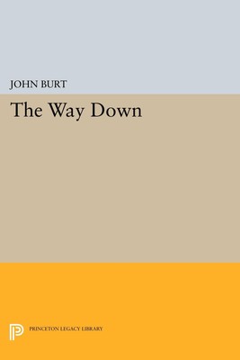 The Way Down John Burt Taschenbuch Kartoniert / Broschiert Englisch 2014