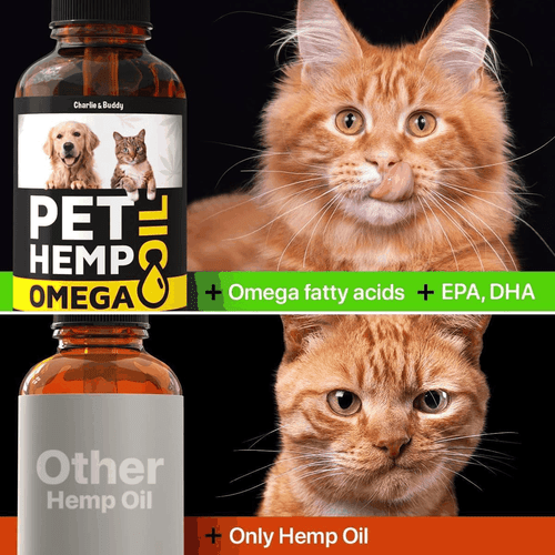 Hеmp and Salmon Oil for Dogs Skin Coat Hеalth 3 6 9 Omega Calming Treat 1 fl oz - Picture 4 of 9