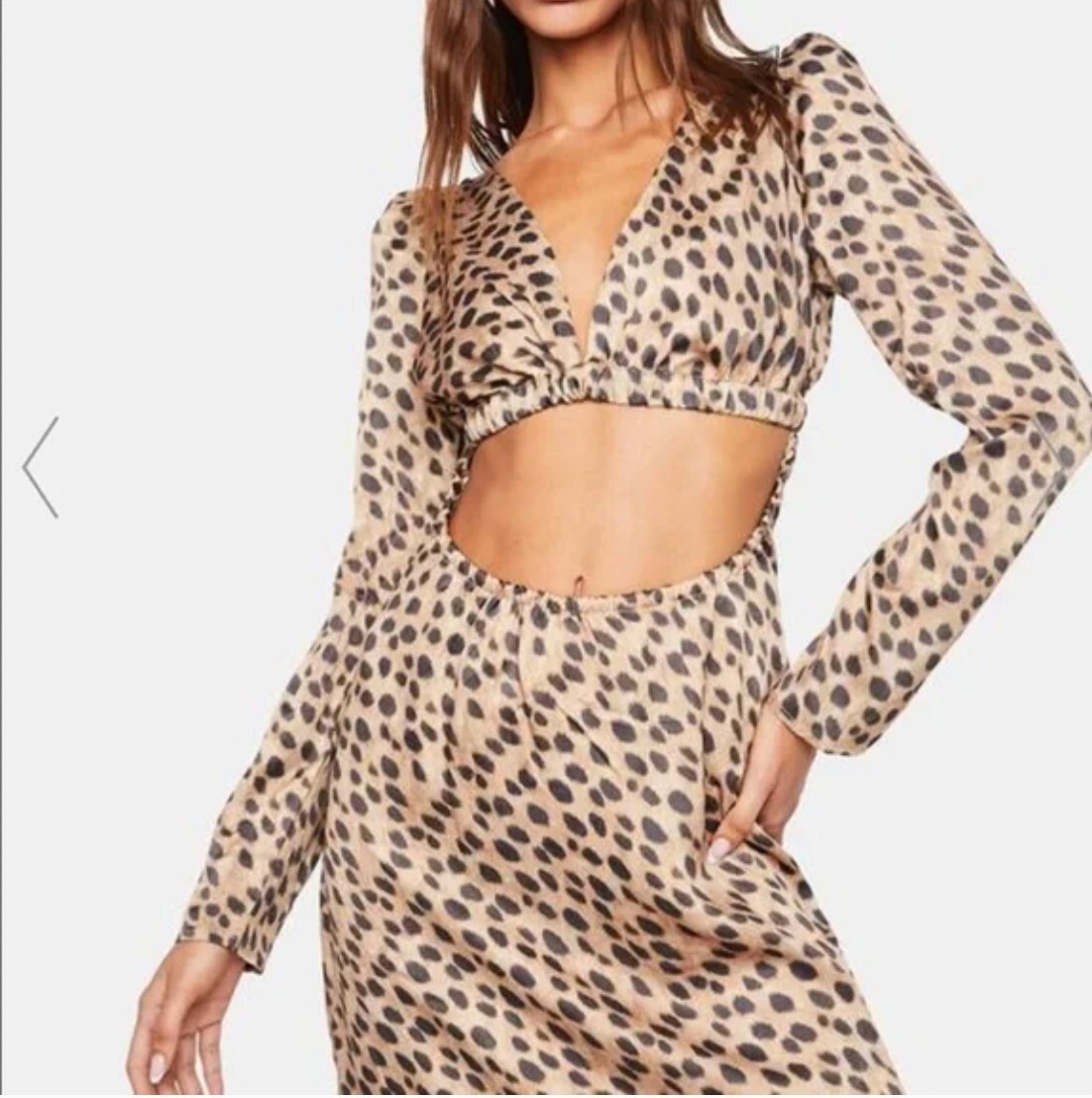 Leopard Cut Out Satin Dress - Leopard / X-LARGE