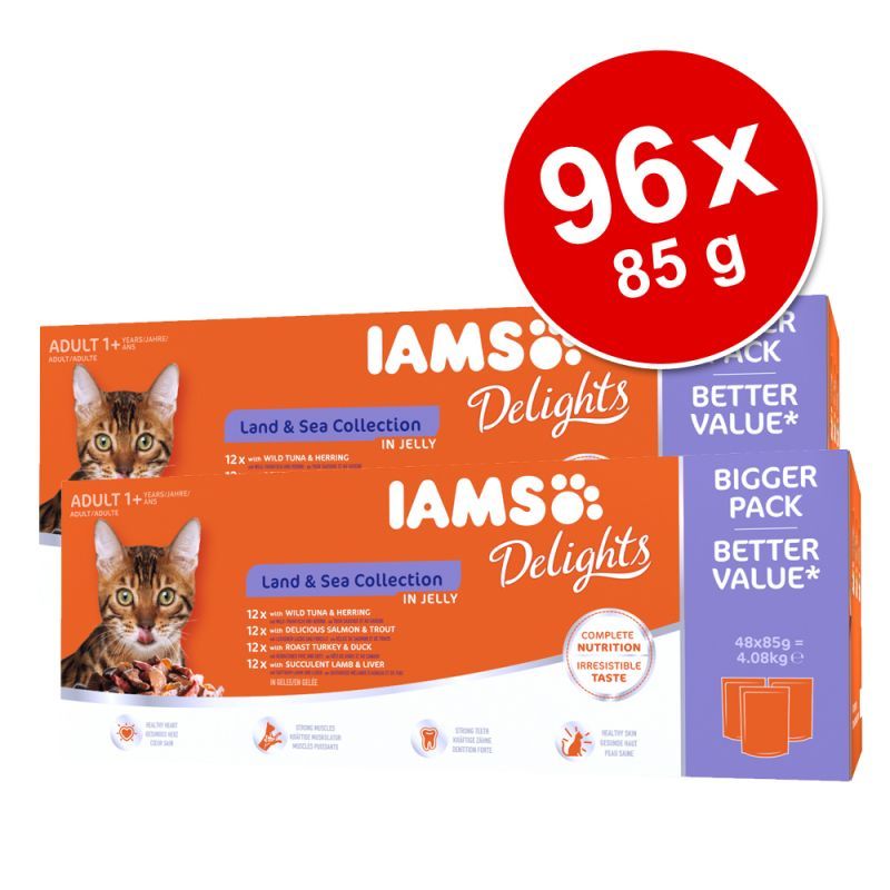 iams delights