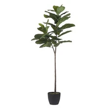 A&B Home Fiddle-Leaf Fig Tree - Green Botanical Green