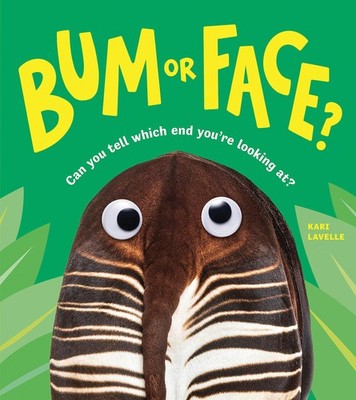 Sourcebooks Explore Bum or Face.