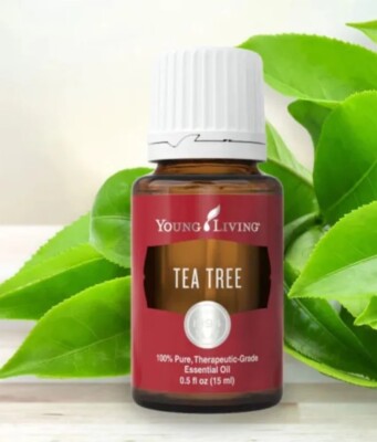 Young Living Essential Oils Tea Tree Essential Oil - 3587 (15ml)