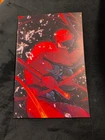 DAREDEVIL #1 VIRGIN ROSE BESCH INCENTIVE VARIANT