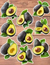 Fresh Avocado Die Cut Vinyl Stickers Set Scrapbooking Laptop Waterbottle