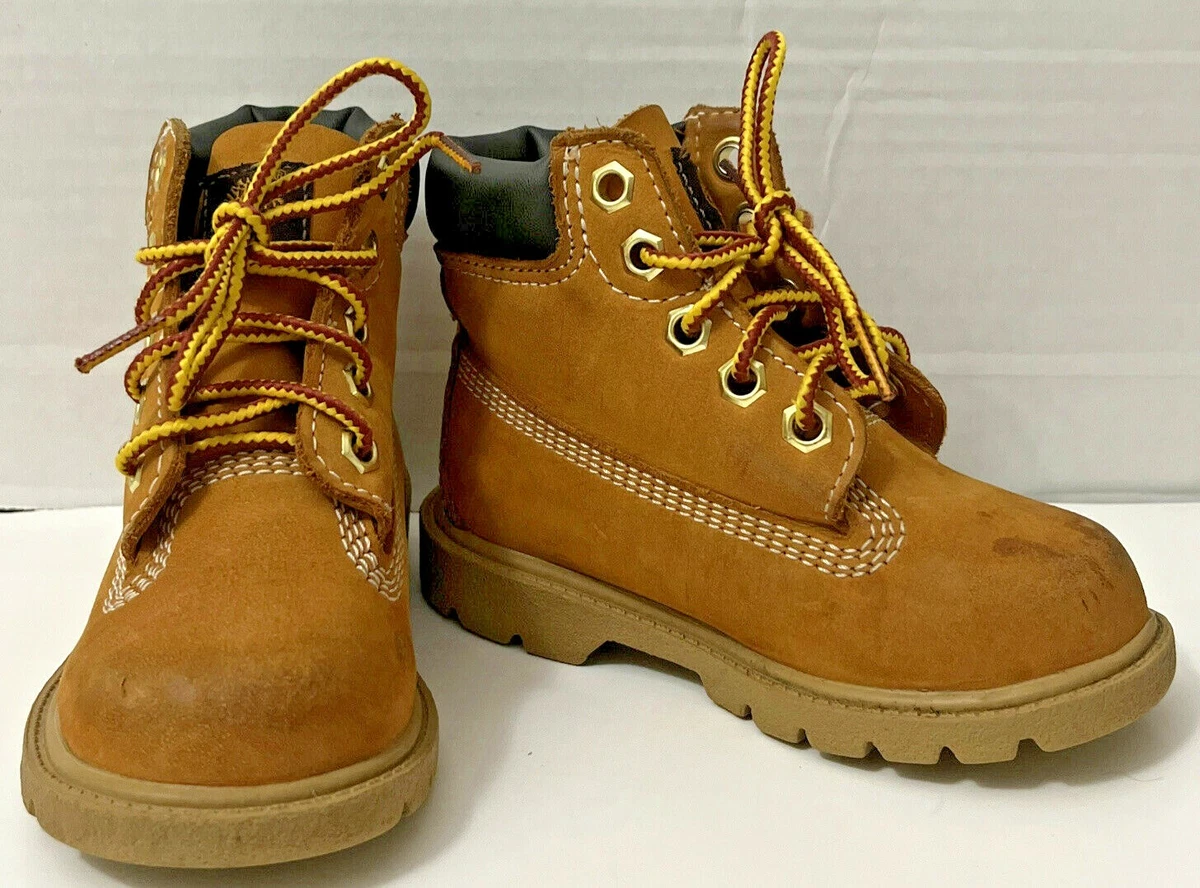 Timberland 7m 2025