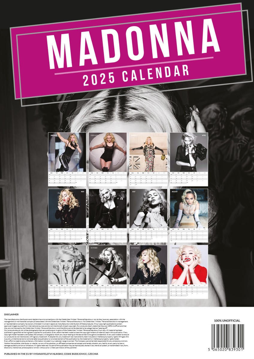 MADONNA パンフレット Yahoo!オークション -「マドンナ パンフ」の落札相場・落札価格