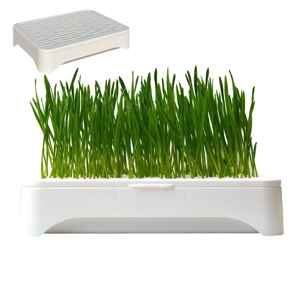 Hydroponic Cat Grass Planter Soilless Culture Sprout Tray For Indoor Growing