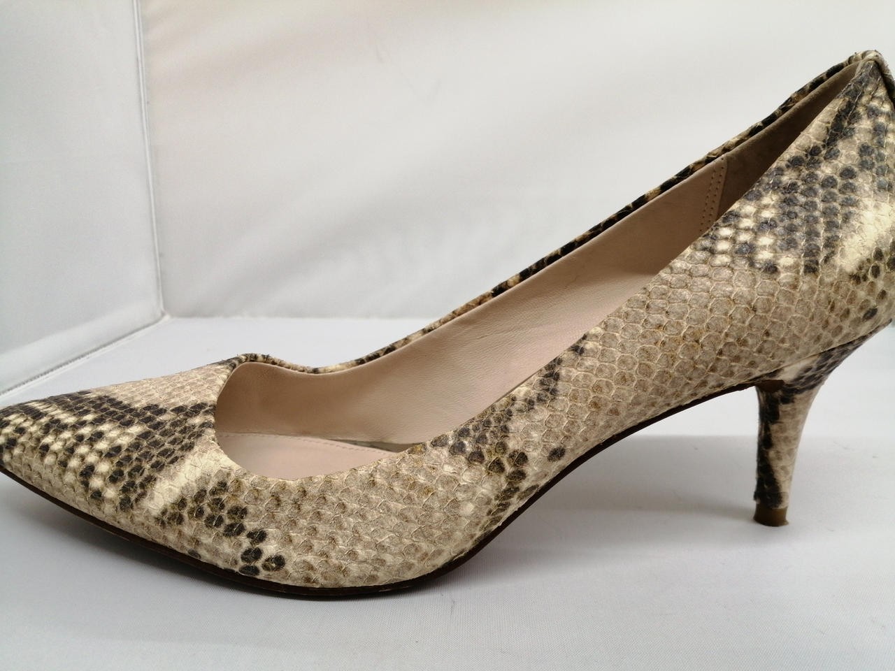 Coach Python Pattern 26.5Cm Pumps High Heels FY274 - image 5