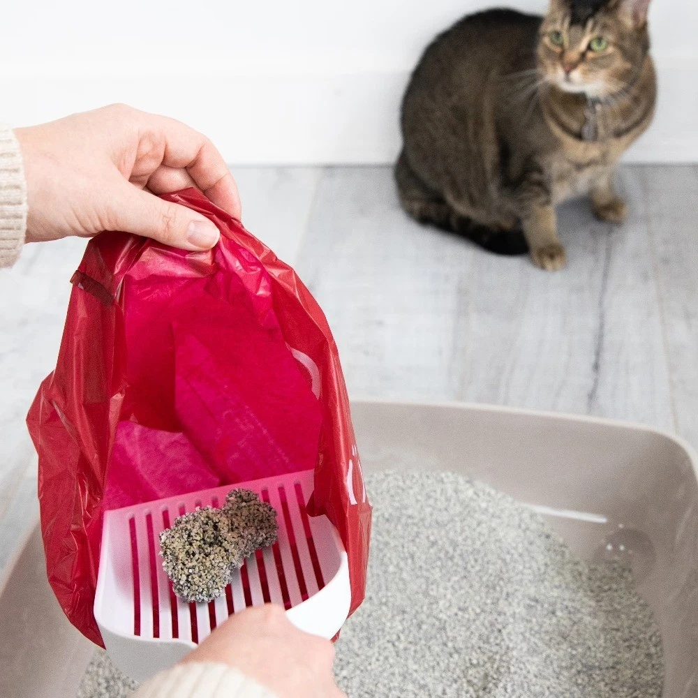 Pet Waste Sacks, Lavender Scented Cat Litter Disposal Bags, Leak Proof and Easy - thumbnail 3