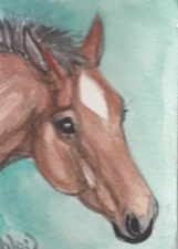 ACEO original Watercolor Art Card HORSE light bay Warmblood/Sport/Stock filly