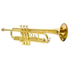 New School Student Band Concert Trumpet Bb Flat Golden Finish With M/P, H/Case