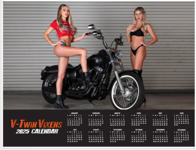 2025 BIKER BABES V-TWIN CALENDAR harley swimsuit bikini sexy dyna road king USA
