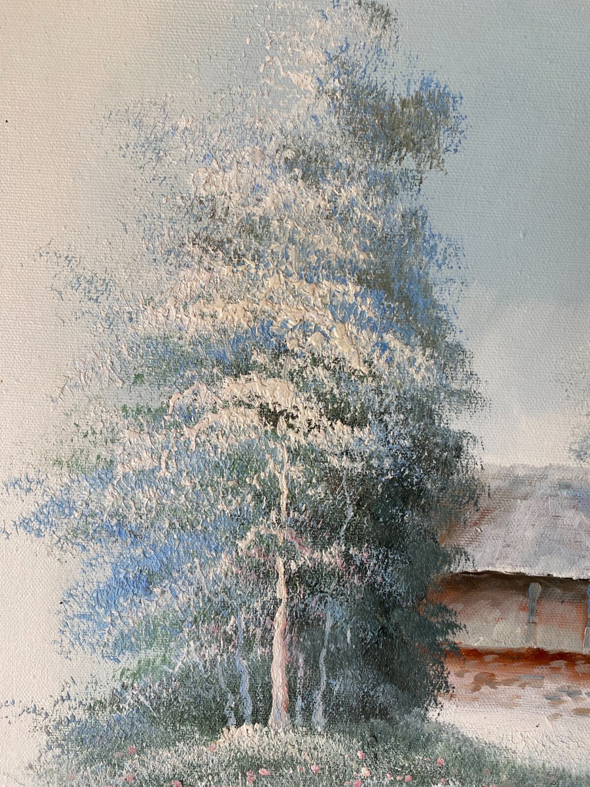 Picture 6 of 11