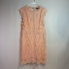 NWT Lulu's Pink Sheath Mini Dress With Lace Overlay Size XL D0079