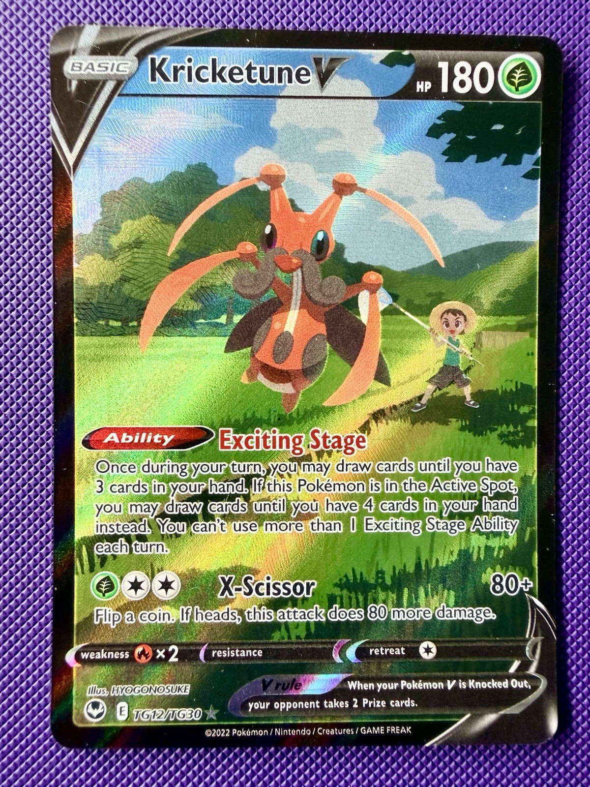 Kricketune V TG12/TG30 NM Swsh12 Silver Tempest Trainer Gallery NM