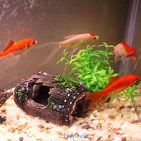 Resin Artificial Barrel Aquarium Ornament Cave Fish Tank Decoration Accessories on sale Resin Artificial Barrel Aquarium Ornament Cave Fish Tank Decoration Accessories on sale