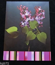 Leanin Tree Anniversary Harold Feinstein Flower Greeting Card Multi Color R211