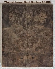 Outstanding Stabilized Claro Walnut Lace Burl scales #6533, 6 x 2 1/2 x 7/16"