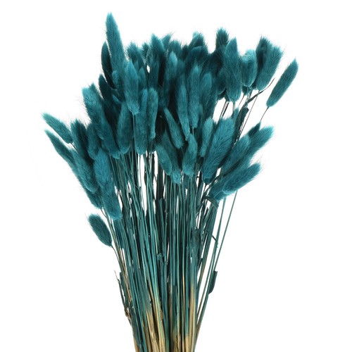 120 Stück natürliche Hasenschwänze Trockenblumen 17 Zoll Mini Gras, hellblau