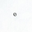 Bild 10 von 13