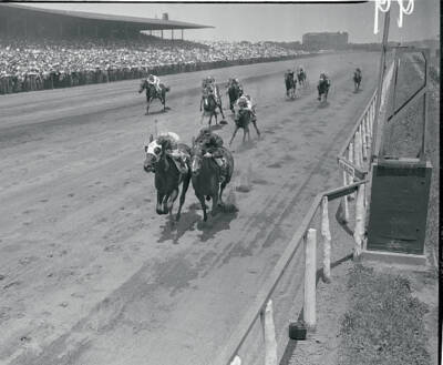 First Aqueduct March Brown jockey Woodhouse aboard gets its nose un- 1952 Photo