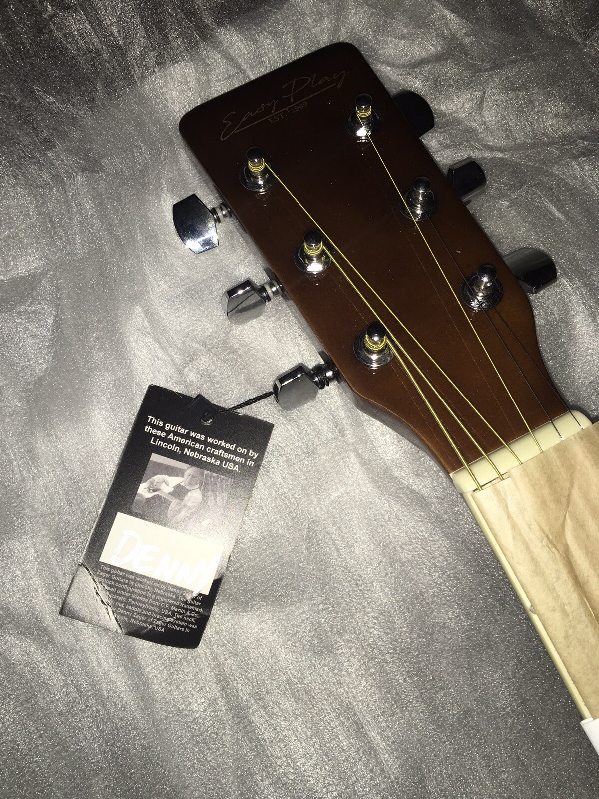 Zager EZ Play String Guitar & Accessories Value 795.00 + 399 Free