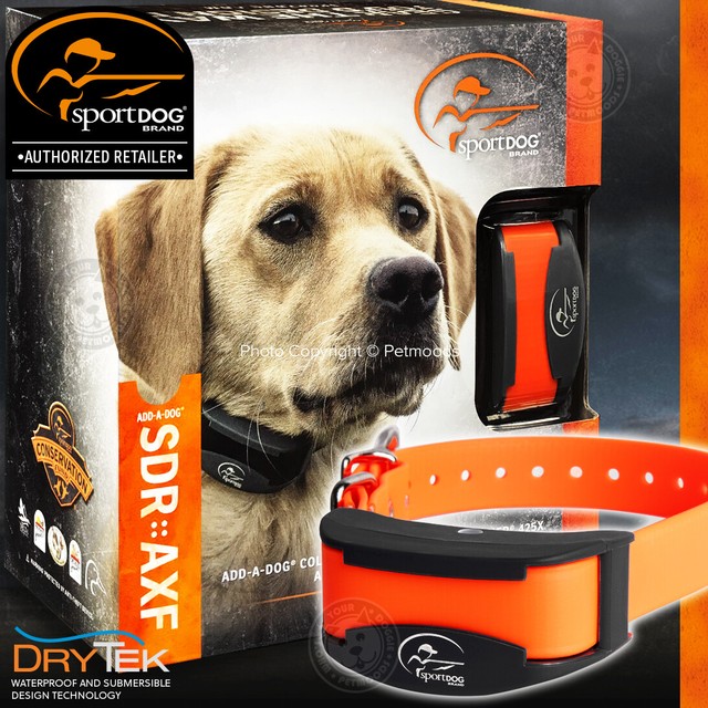 sportdog add a collar