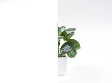 Static Cling Privacy Film, UV Blocking Removable Window Stickers, Heat Contro...