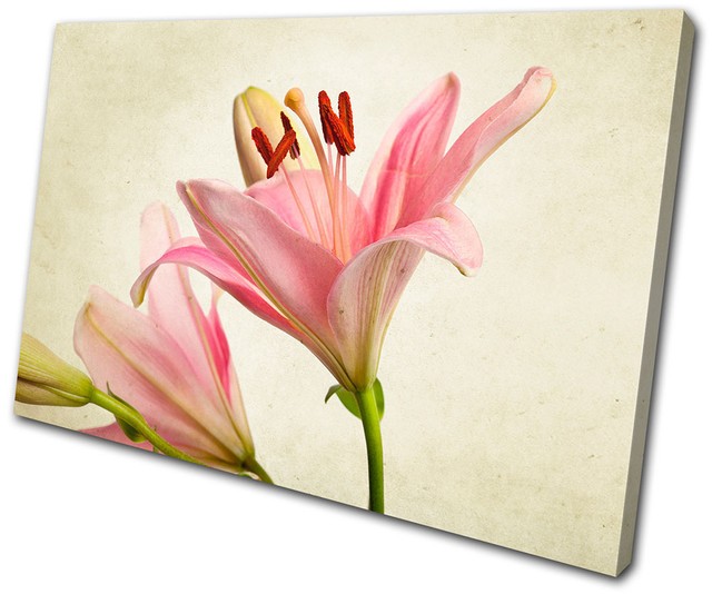 Floral Lily Flowers SINGLE CANVAS WALL ART Picture Print VA eBay