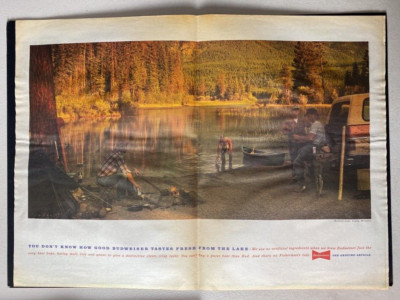 BUDWEISER - TASTES FROM THE LAKE 1992 15X22'' Press Advert Poster L248
