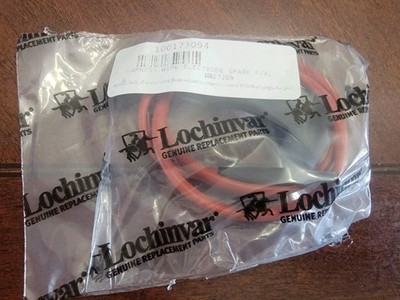 Lochinvar Spark Wire 100173094 / WRE2209