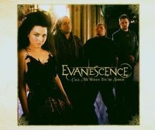 Call Me When Youre Sober von Evanescence | CD | Zustand sehr gut