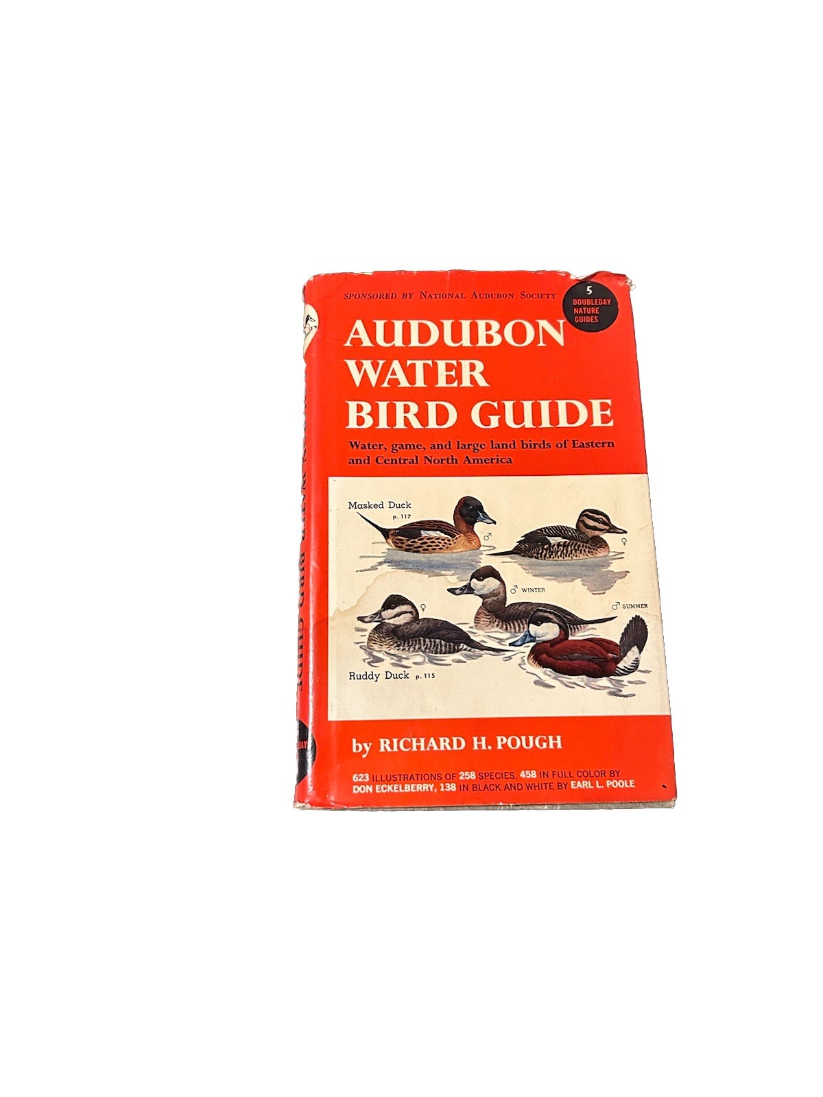 Vintage Audubon Water Bird Guide Richard Pough HCDJ 1951 Color Illustrations