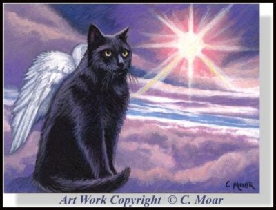 Black Angel Cat Wings Heaven Sky ACEO Limited Edition Art Minature