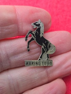 RARE Vietnam War 11th Armored Cavalry Regiment Beer Can DUI DI Crest Pin