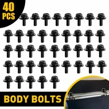Car Body Bolts 40 Screw Fastener M6-1.0x Fender 16mm Long- 10mm Hex-17mm Washer