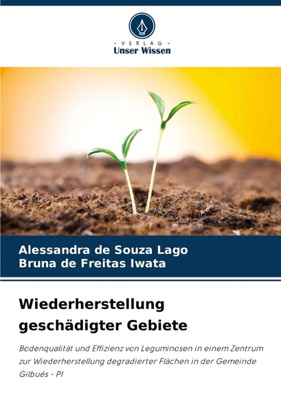 Wiederherstellung GeschäDigter Gebiete Alessandra De Souza Lago (U. A.) Buch-image