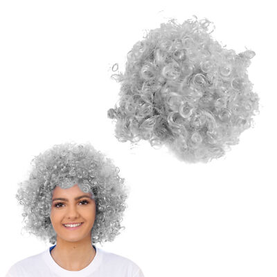 GRAUE AFRO PERÜCKE OMA WELTTAG DES BUCHES OAP LUSTIGE HAARE UNISEX KOSTÜM PAKET