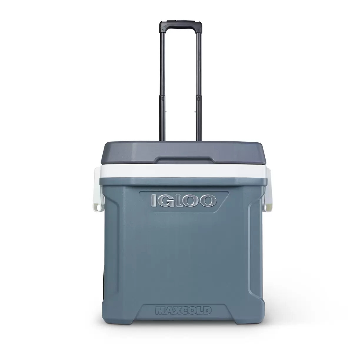 Igloo maxcold - Koelboxen kopen? | | Laagste prijs