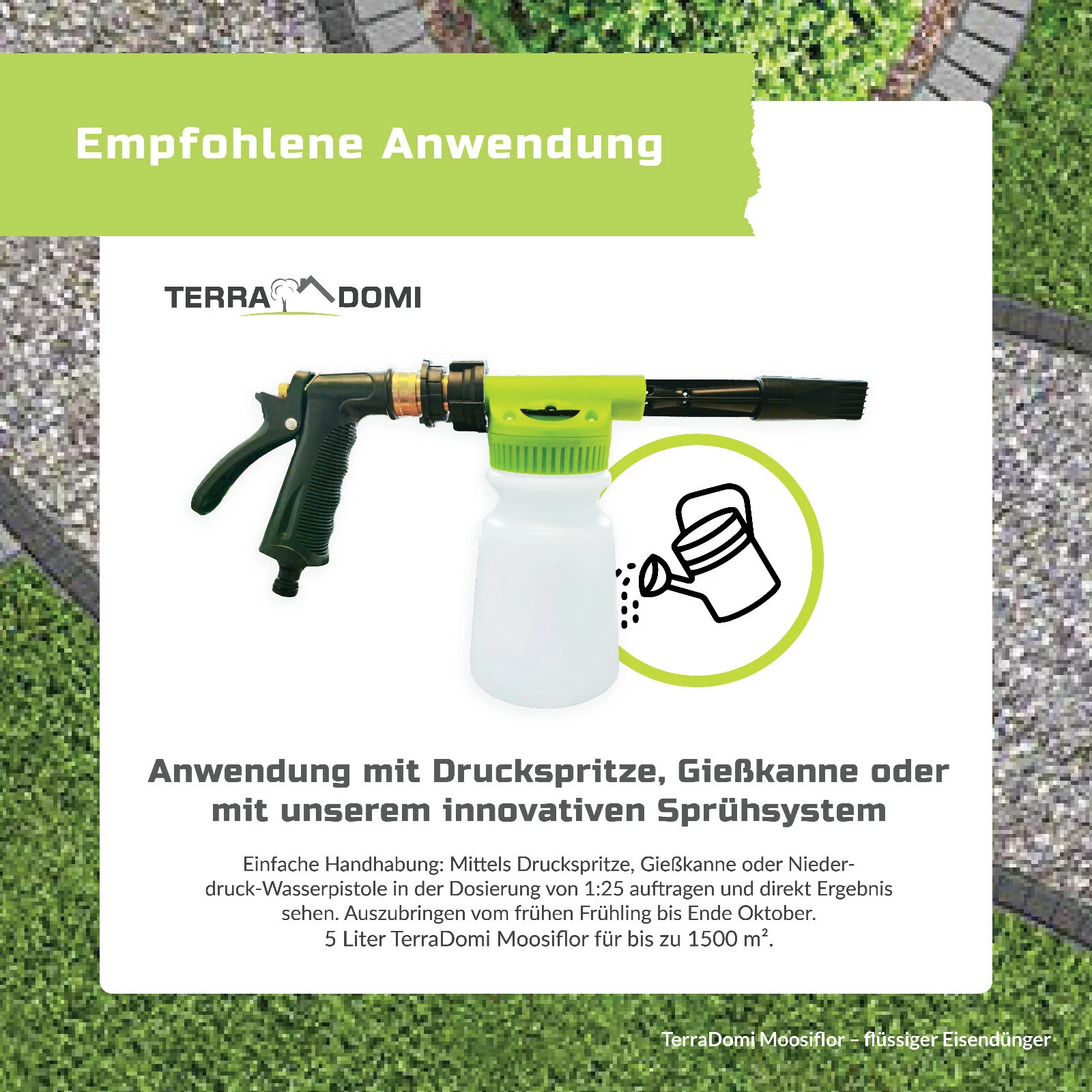 Bild 5 von 6
